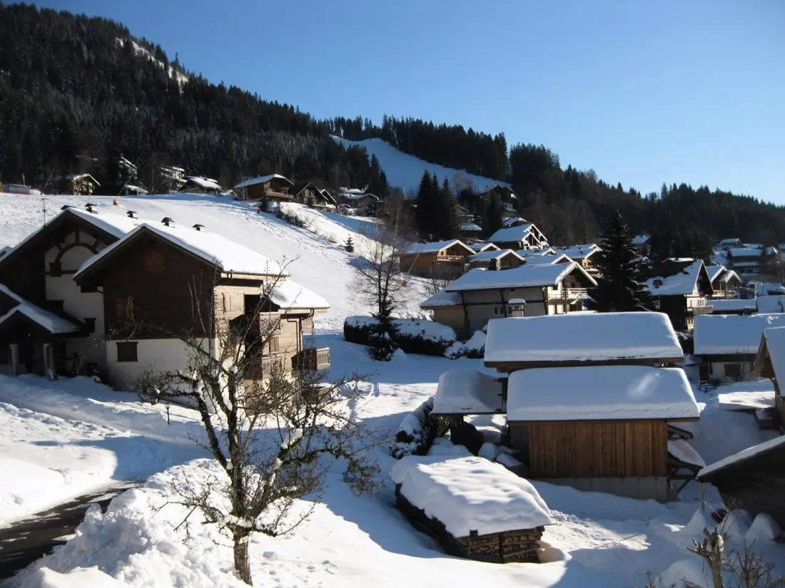 Location de Vacances Les Carroz d'Arâches 187