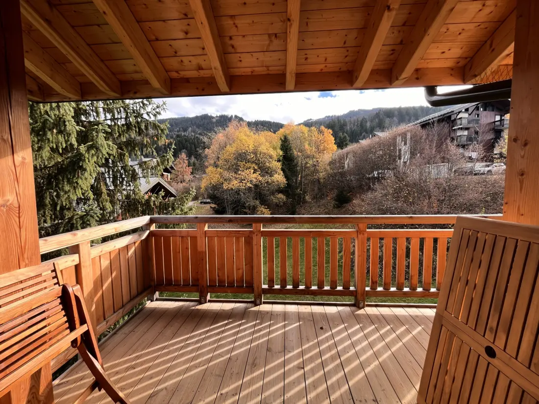 Location de Vacances Les Carroz d'Arâches 170