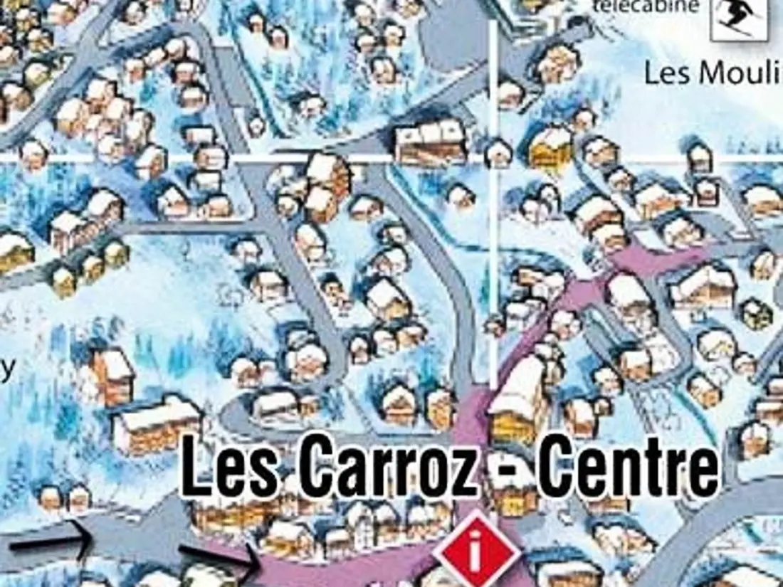 Location de Vacances Les Carroz d'Arâches 178