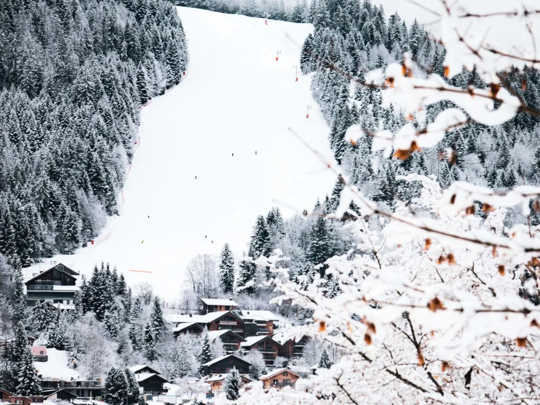 Location de Vacances Les Carroz d'Arâches 193