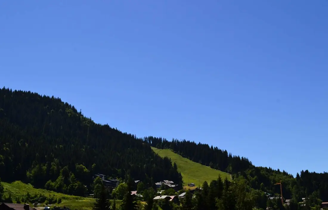 Résidence Chalet Odalys L'Adret