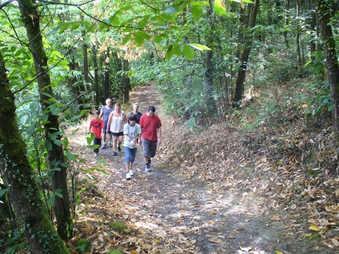 Camping Le Rouge Gorge4 étoiles★★★★