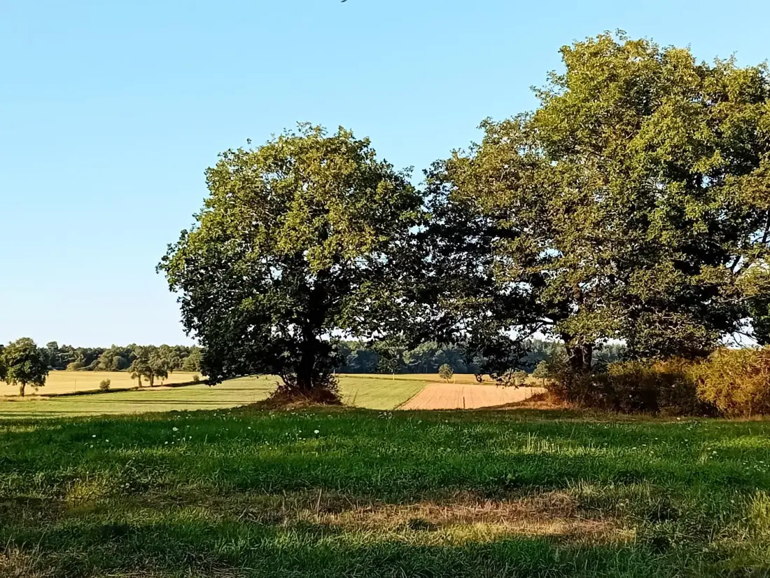 Gîte de France L'authentique 3 épis