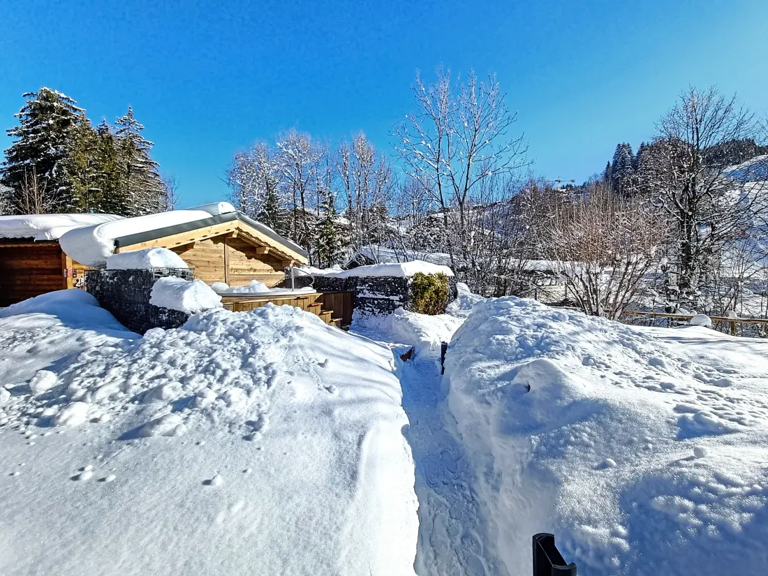 Appartements à Les Gets