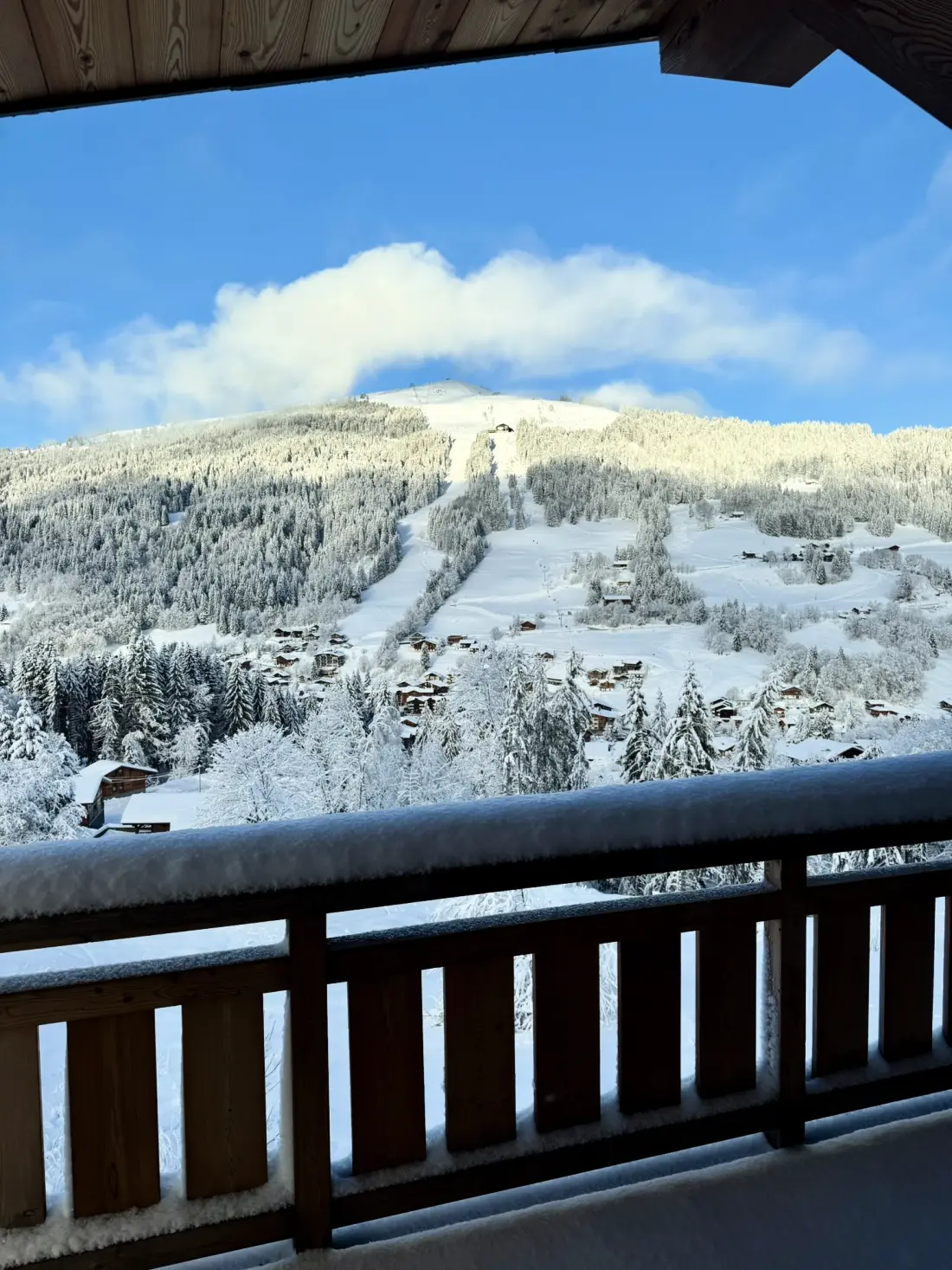 Chalets à Les Gets