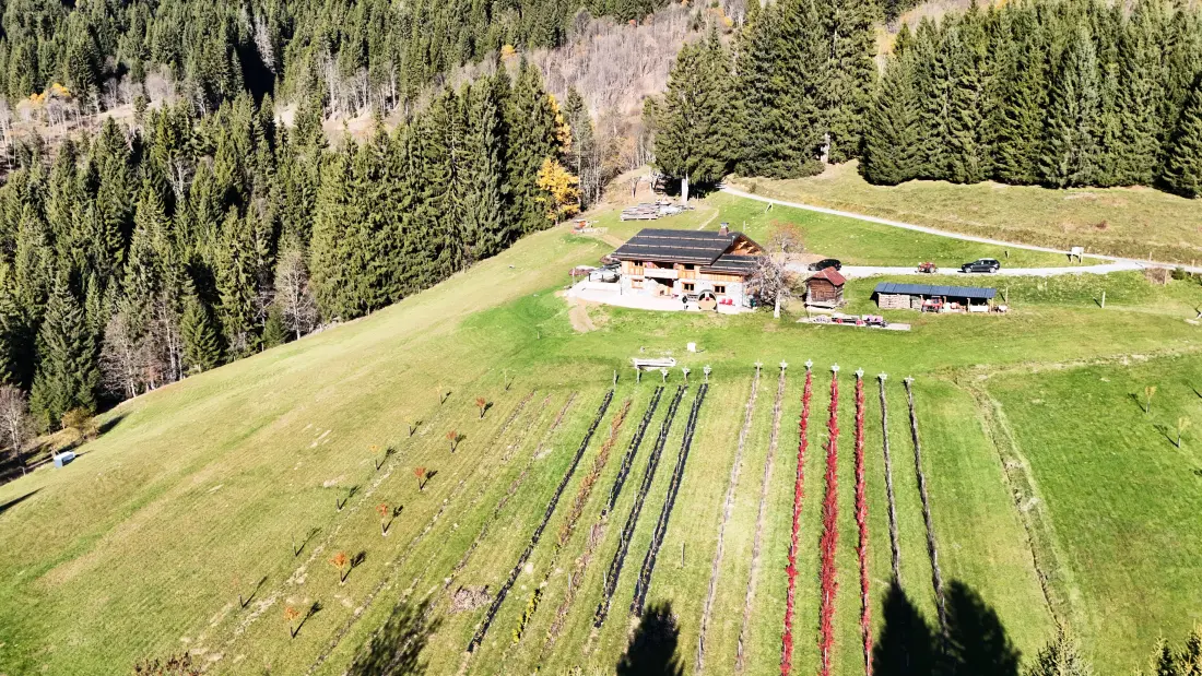 Chalets à Les Gets