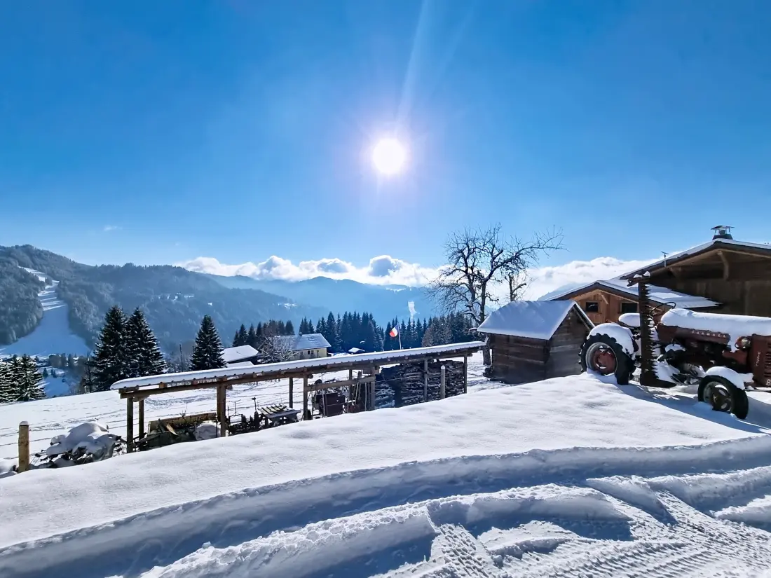 Chalets à Les Gets