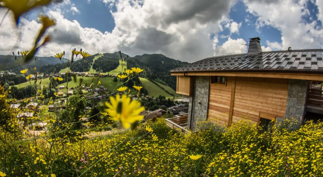 Chalets Chantemerle