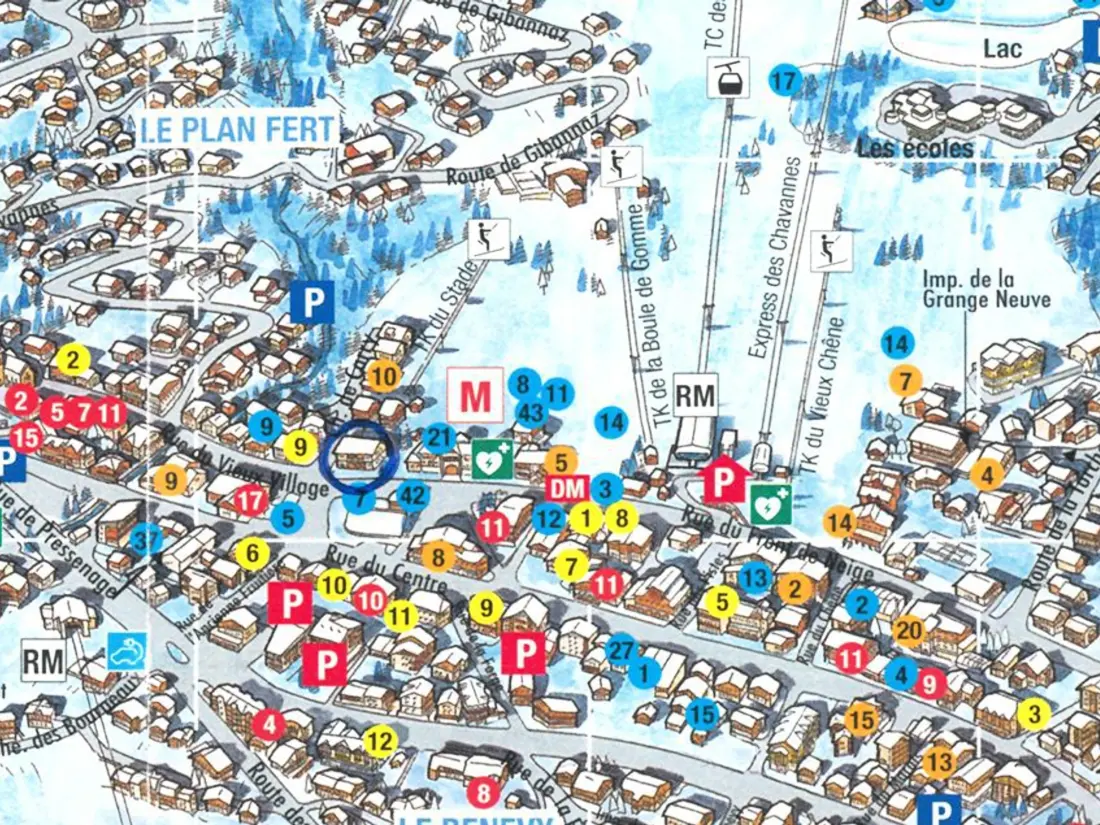 Location de Vacances Les Gets 100