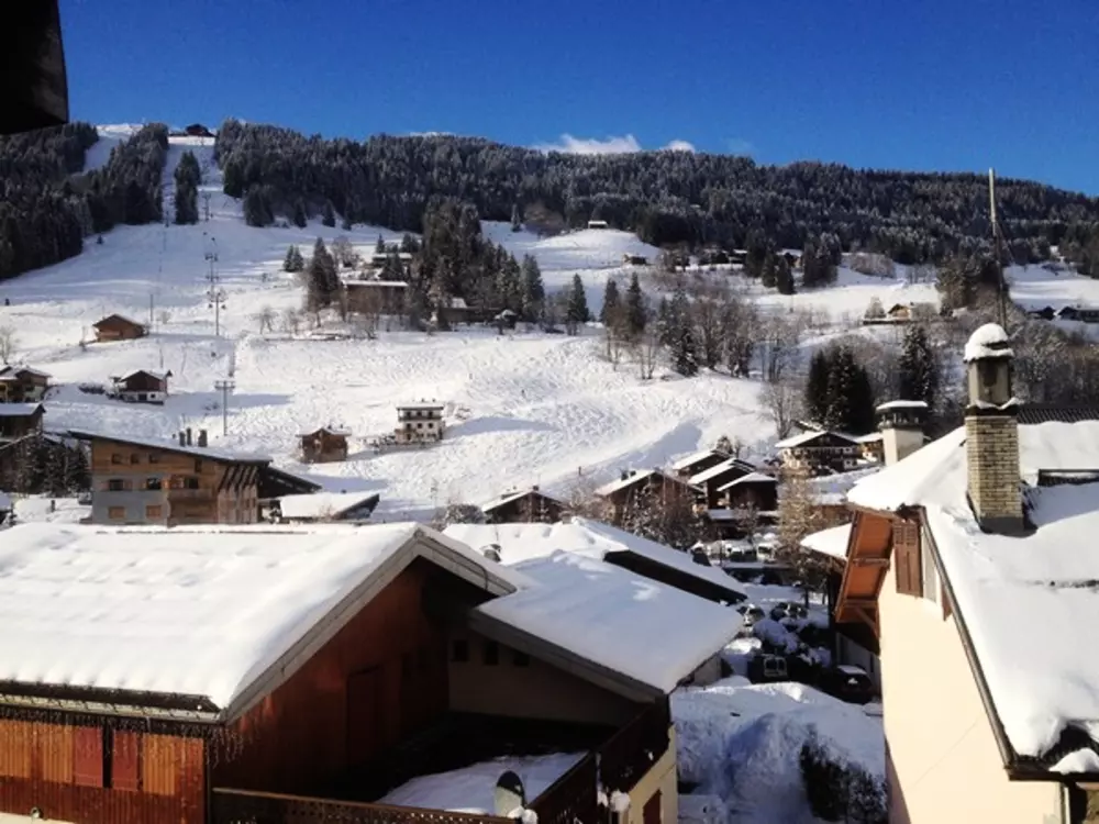 Location de Vacances Les Gets 1001