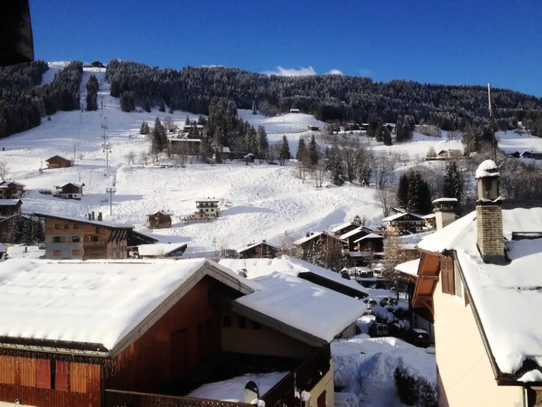 Location de Vacances Les Gets 1001