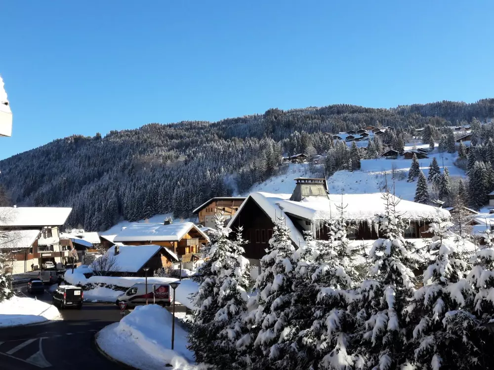 Location de Vacances Les Gets 109