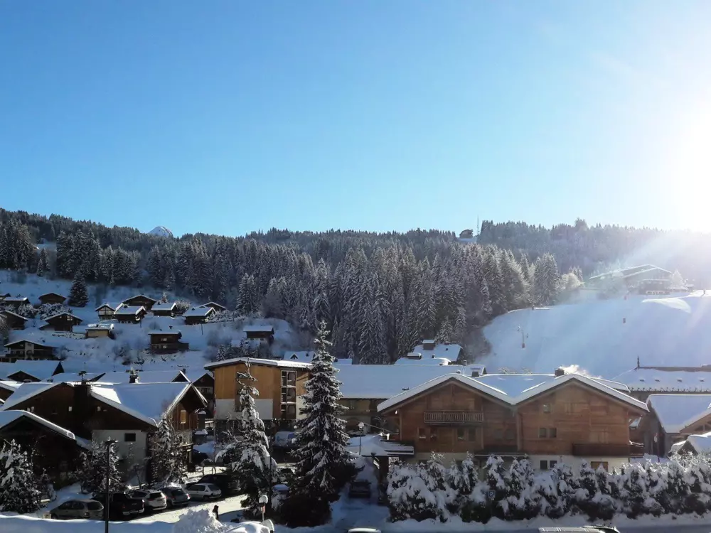 Location de Vacances Les Gets 109