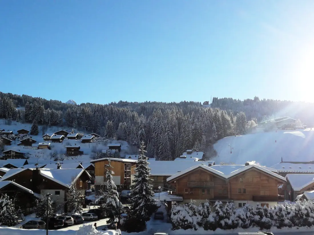 Location de Vacances Les Gets 109