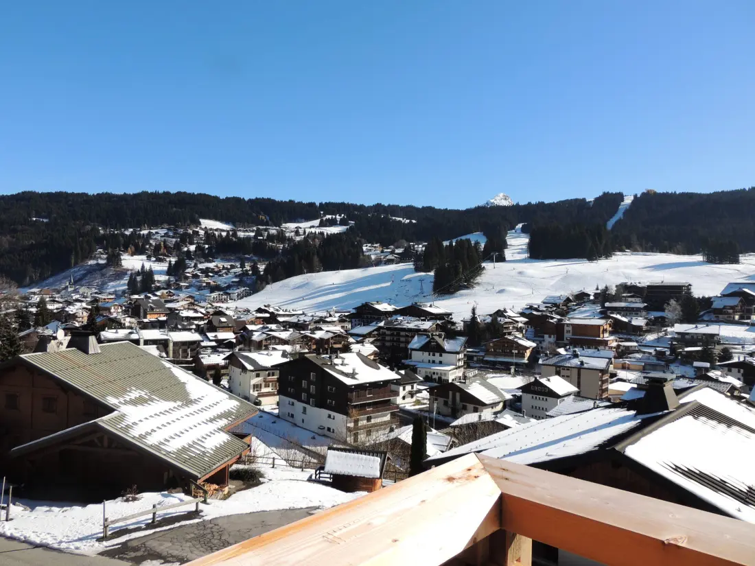 Location de Vacances Les Gets 113