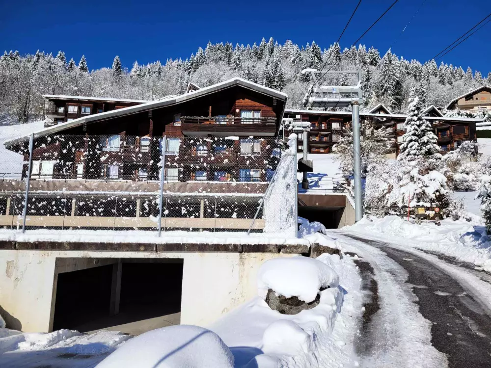 Location de Vacances Les Gets 118