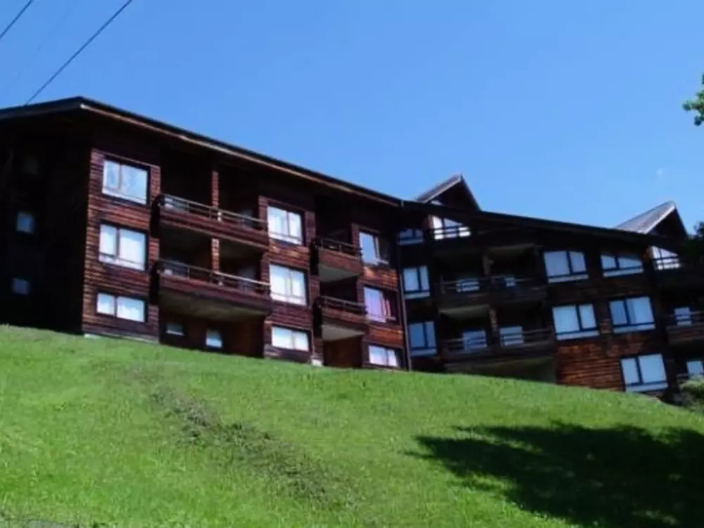 Location de Vacances Les Gets 118