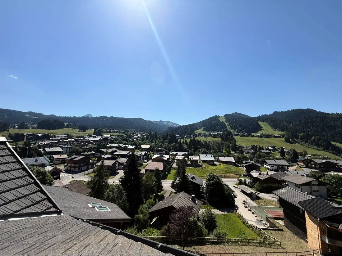 Location de Vacances Les Gets 118