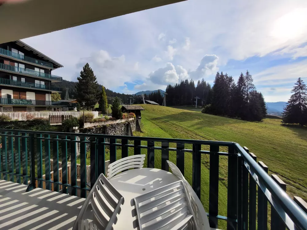 Location de Vacances Les Gets 128