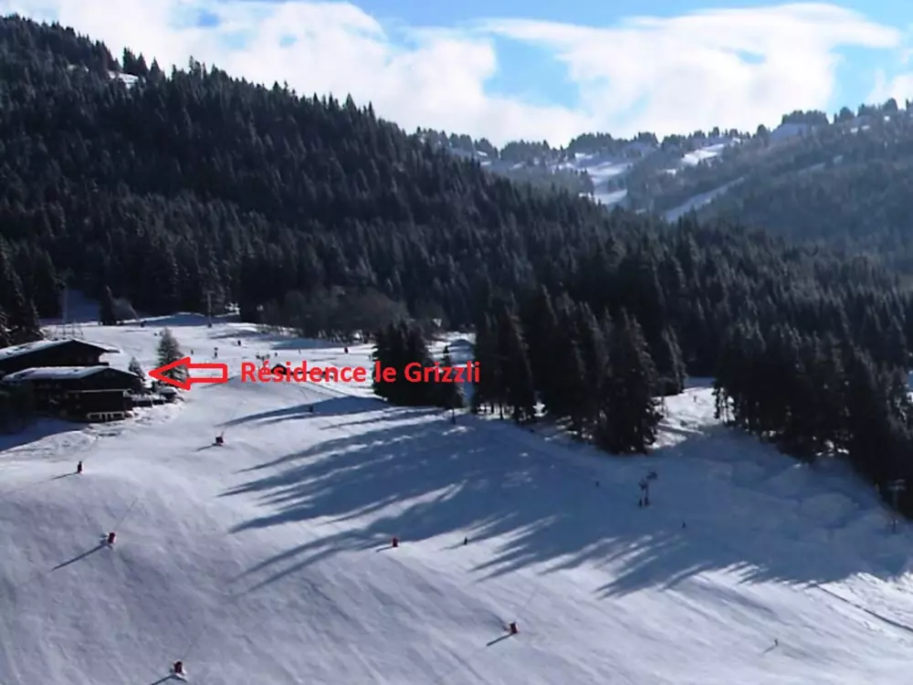 Location de Vacances Les Gets 128