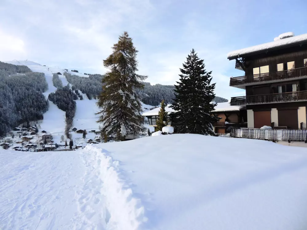 Location de Vacances Les Gets 128