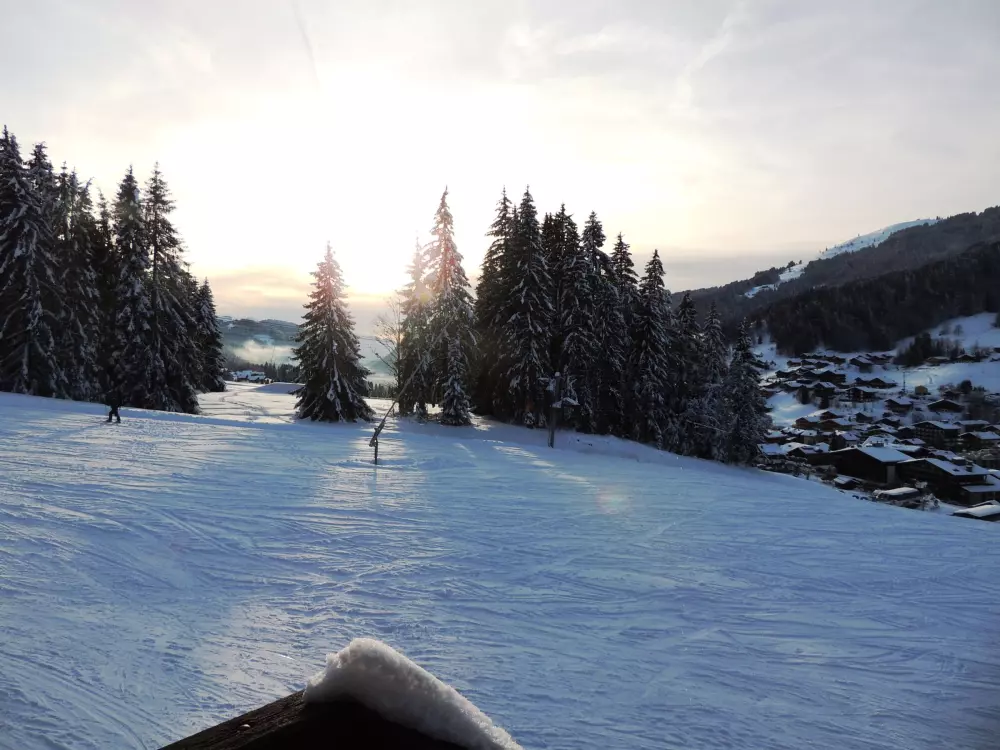 Location de Vacances Les Gets 128