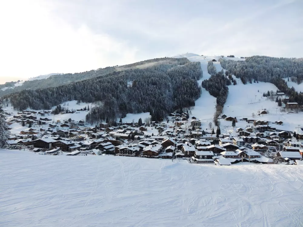 Location de Vacances Les Gets 128