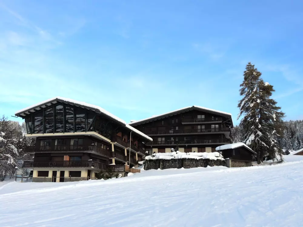 Location de Vacances Les Gets 128