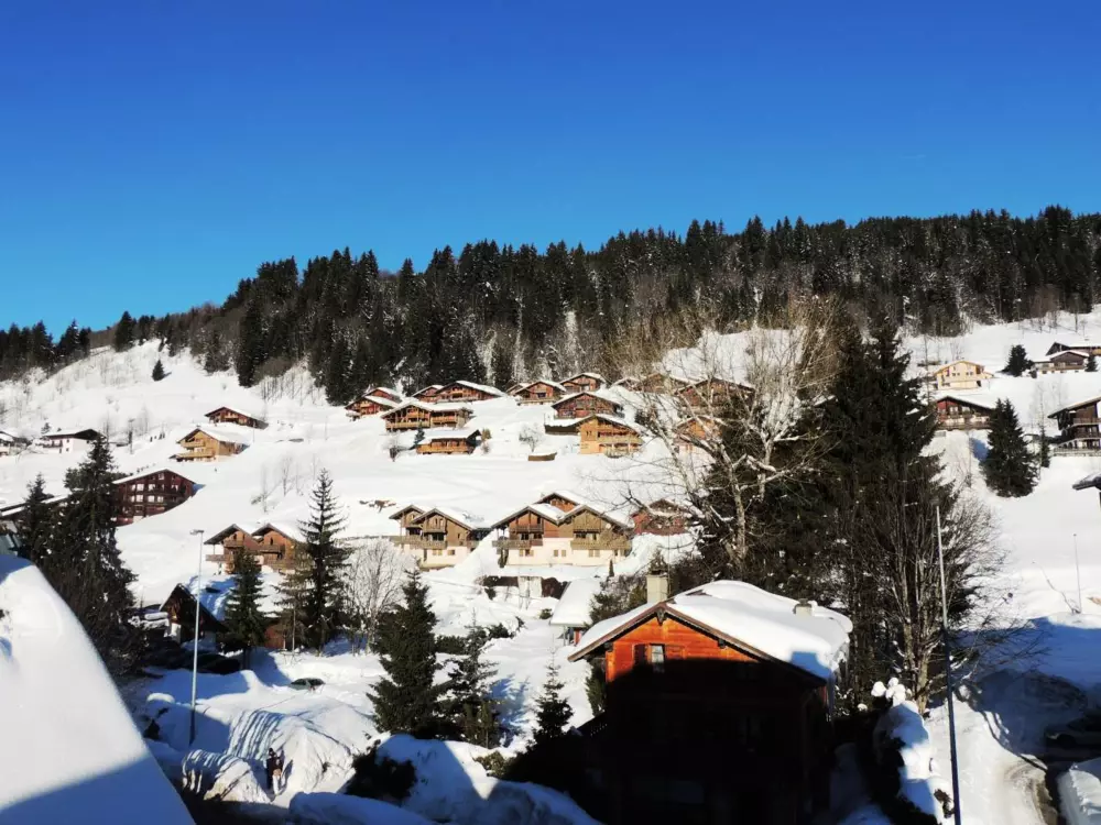 Location de Vacances Les Gets 131