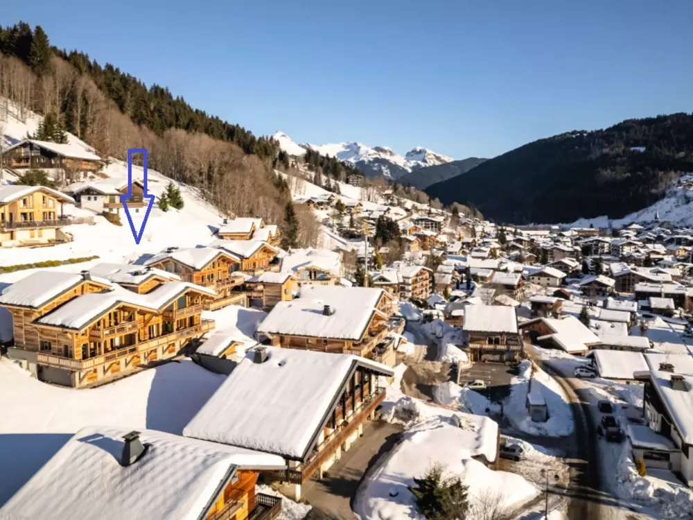 Location de Vacances Les Gets 133