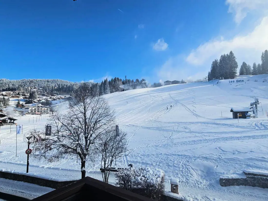 Location de Vacances Les Gets 158