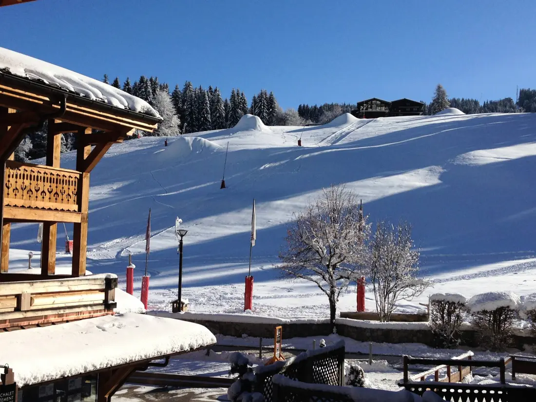 Location de Vacances Les Gets 169