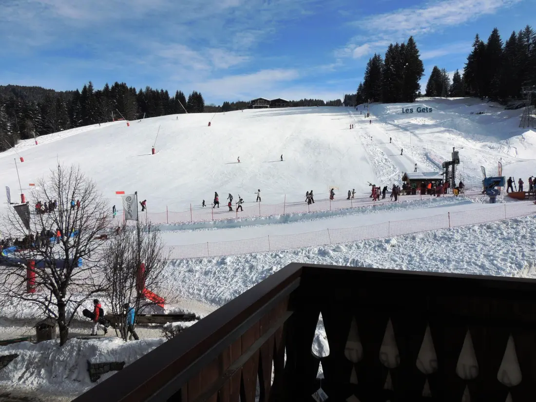 Location de Vacances Les Gets 170