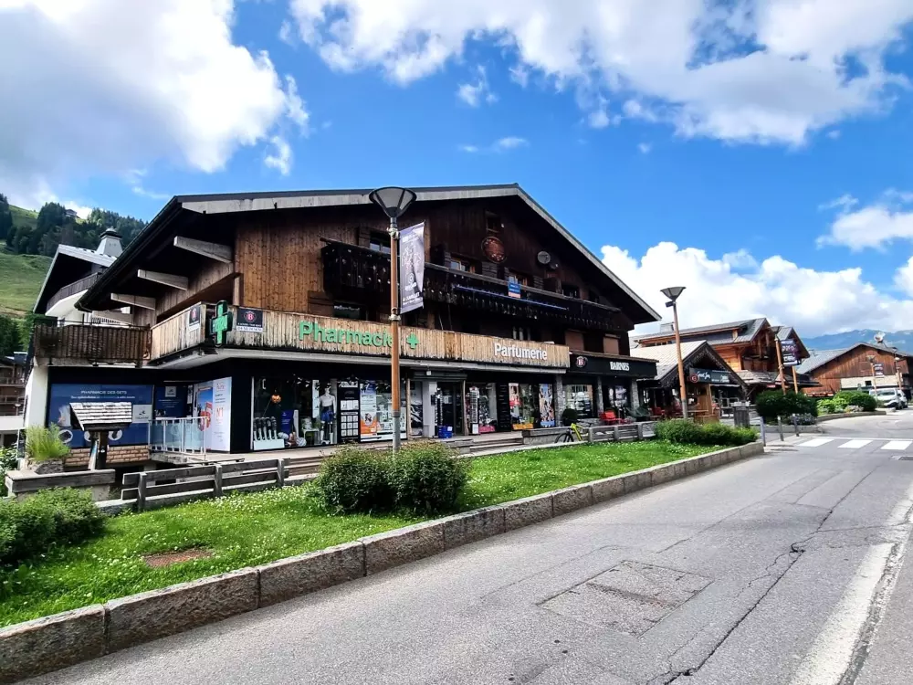 Location de Vacances Les Gets 177