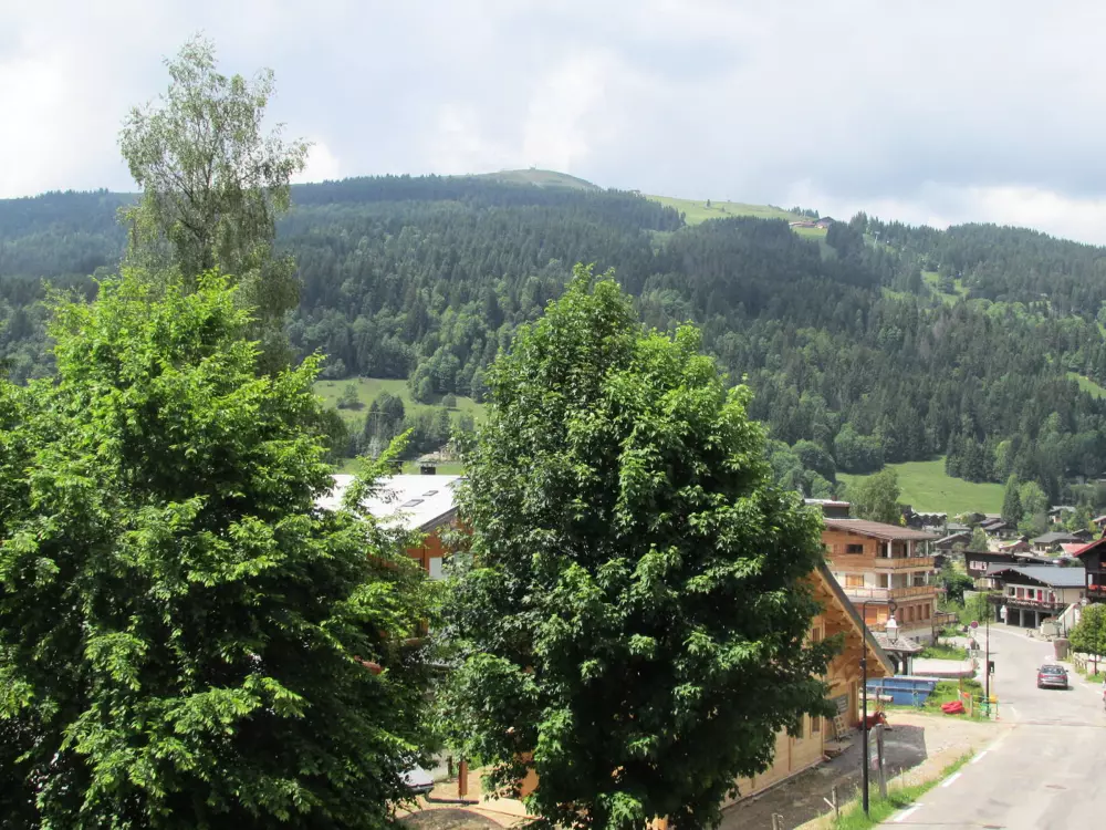 Location de Vacances Les Gets 191