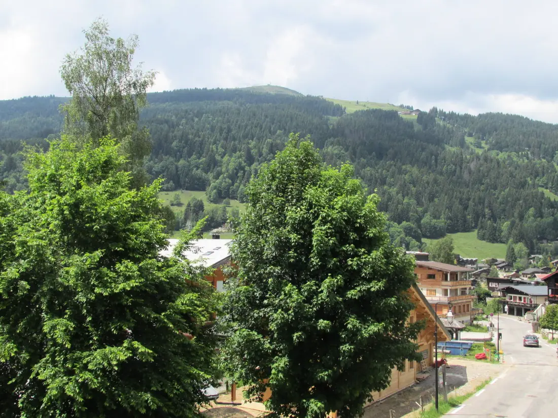Location de Vacances Les Gets 191