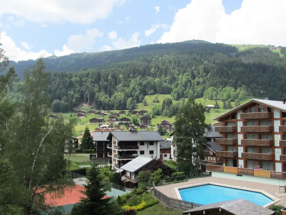 Location de Vacances Les Gets 211