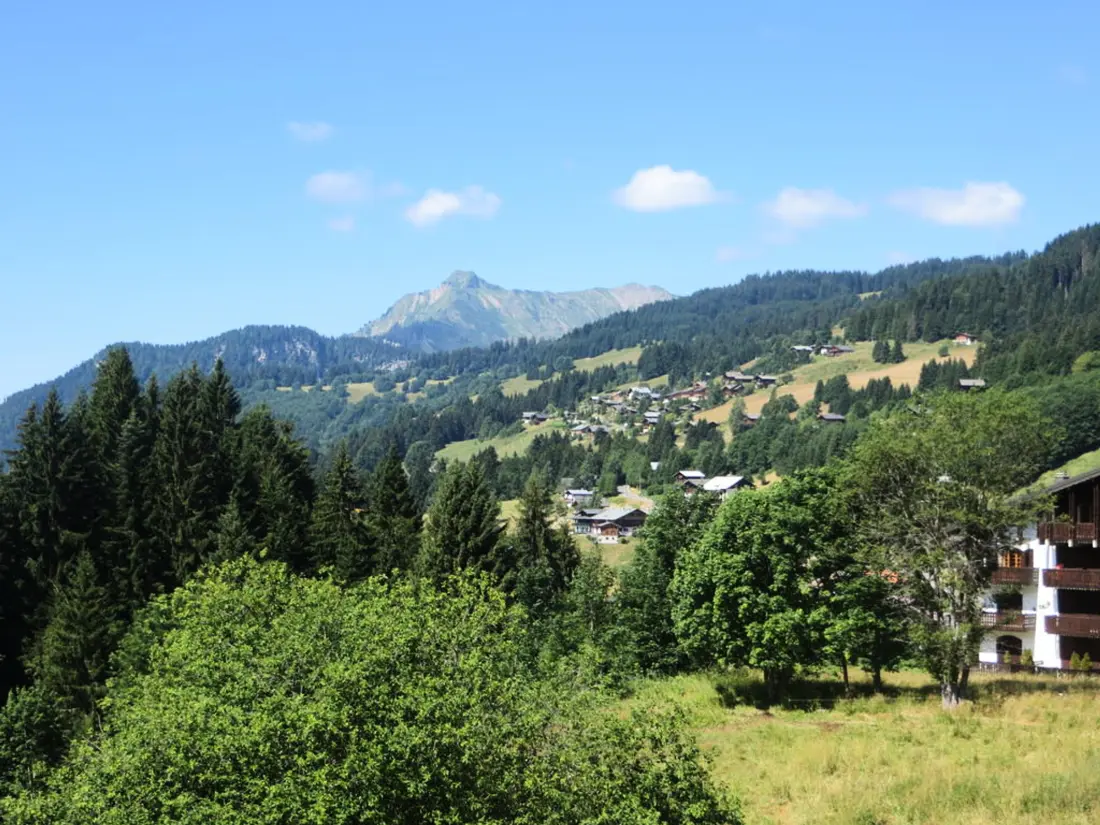Location de Vacances Les Gets 234