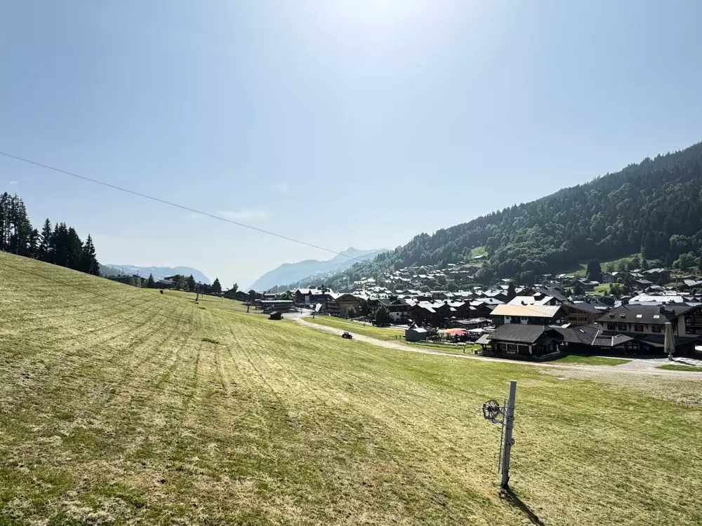 Location de Vacances Les Gets 239