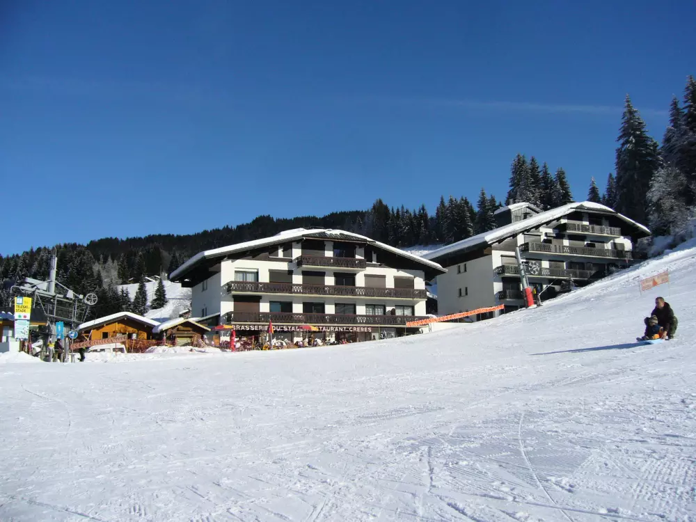 Location de Vacances Les Gets 239