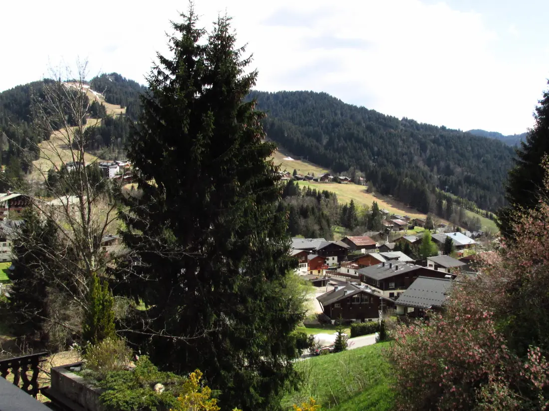 Location de Vacances Les Gets 250