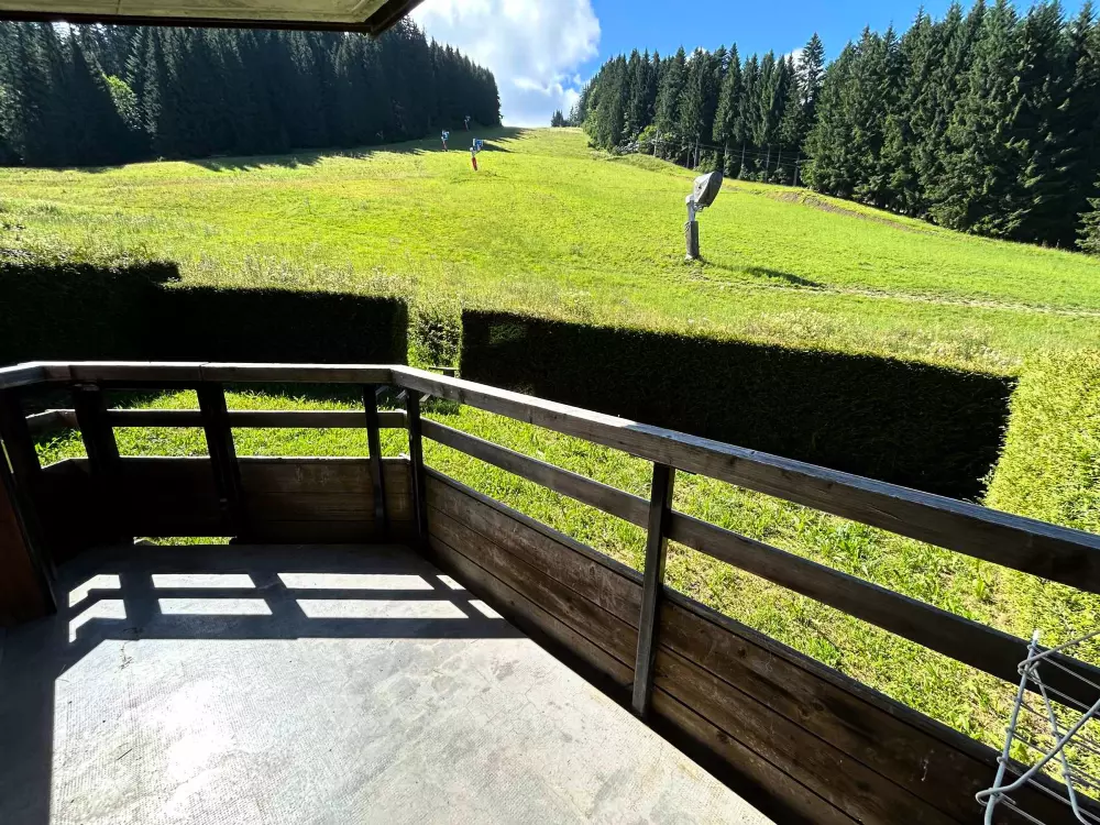 Location de Vacances Les Gets 261