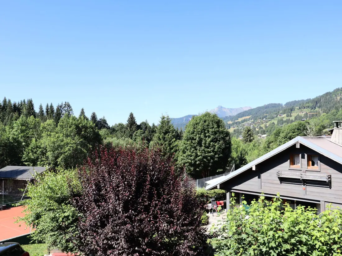 Location de Vacances Les Gets 358