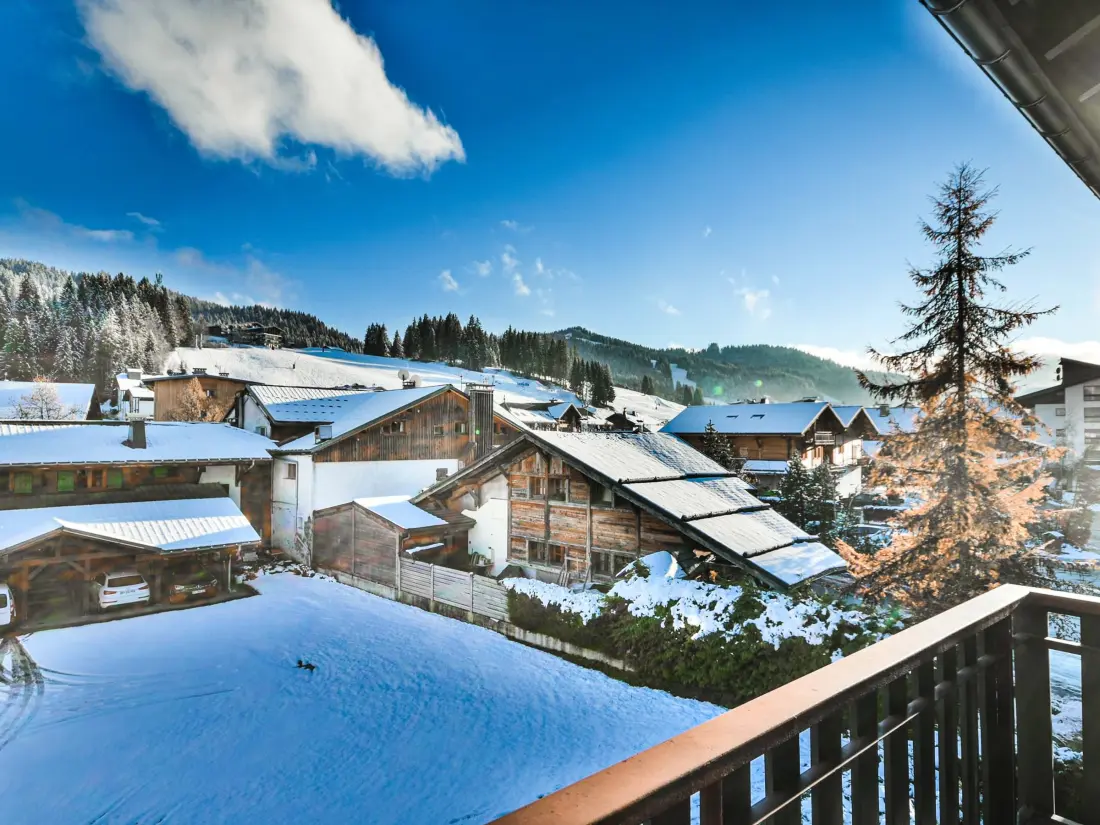 Location de Vacances Les Gets 418