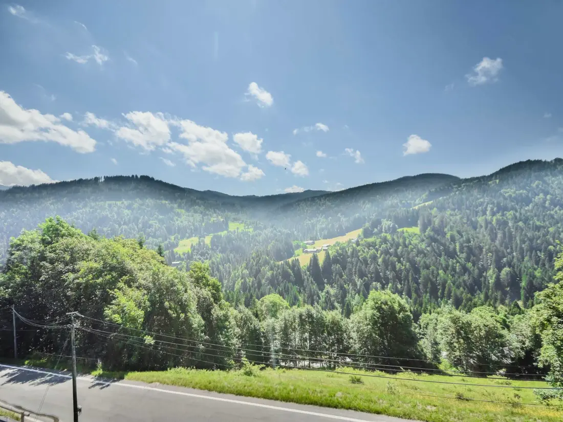 Location de Vacances Les Gets 422