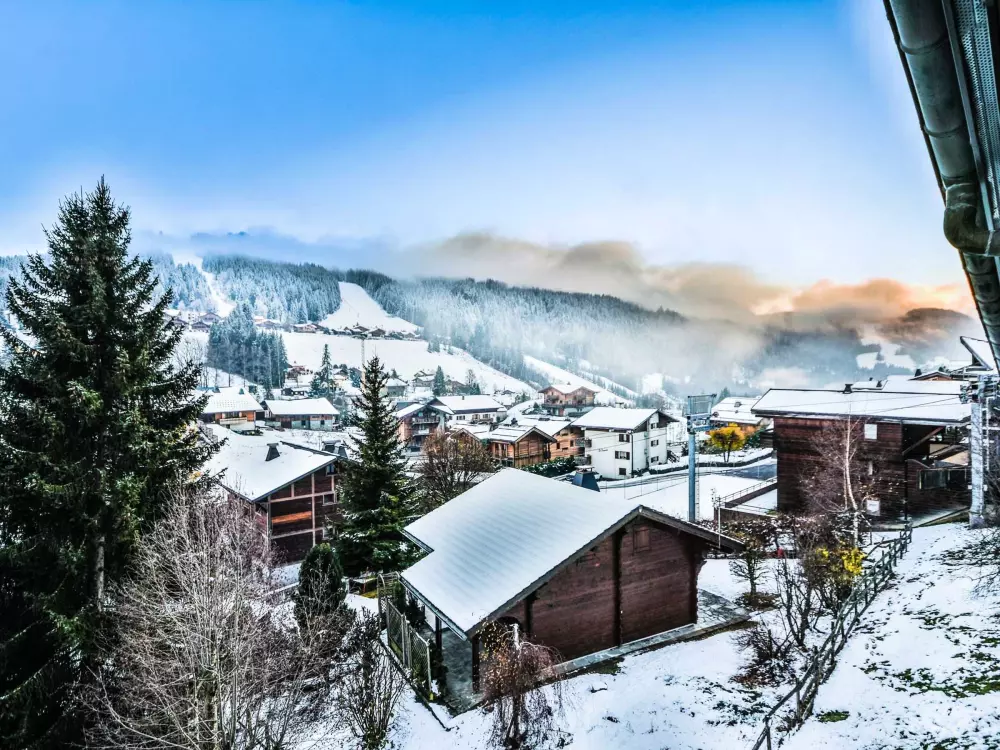 Location de Vacances Les Gets 442