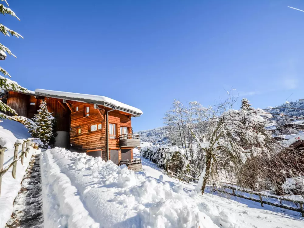 Location de Vacances Les Gets 442