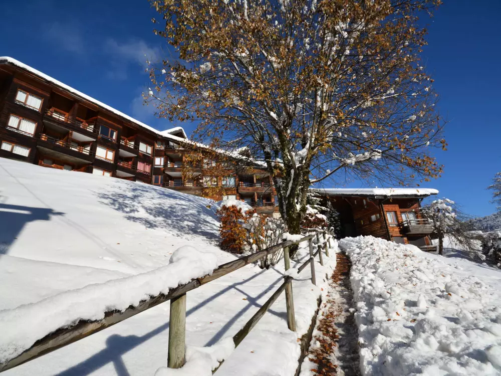 Location de Vacances Les Gets 442