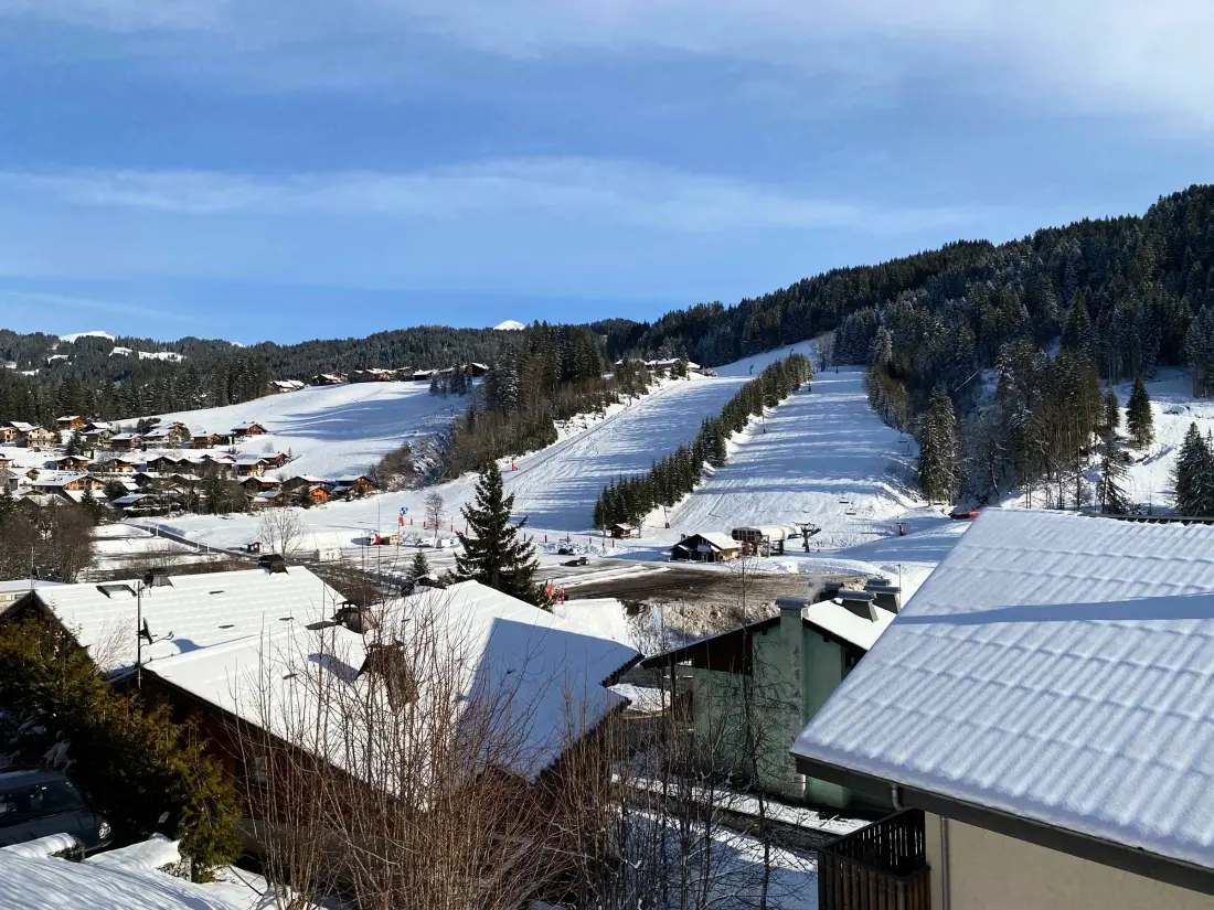 Location de Vacances Les Gets 463