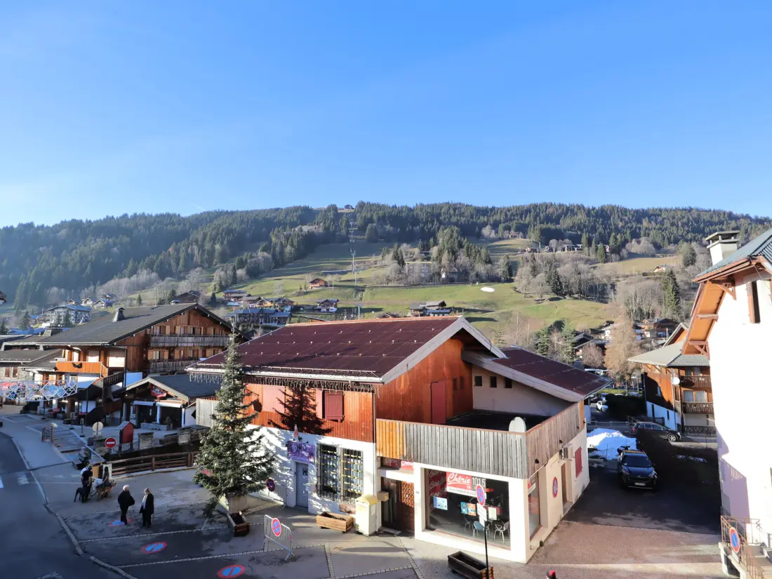 Location de Vacances Les Gets 466